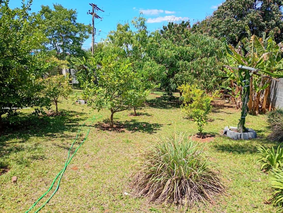 Chácara, 2 quartos, 1000 m² - Foto 12
