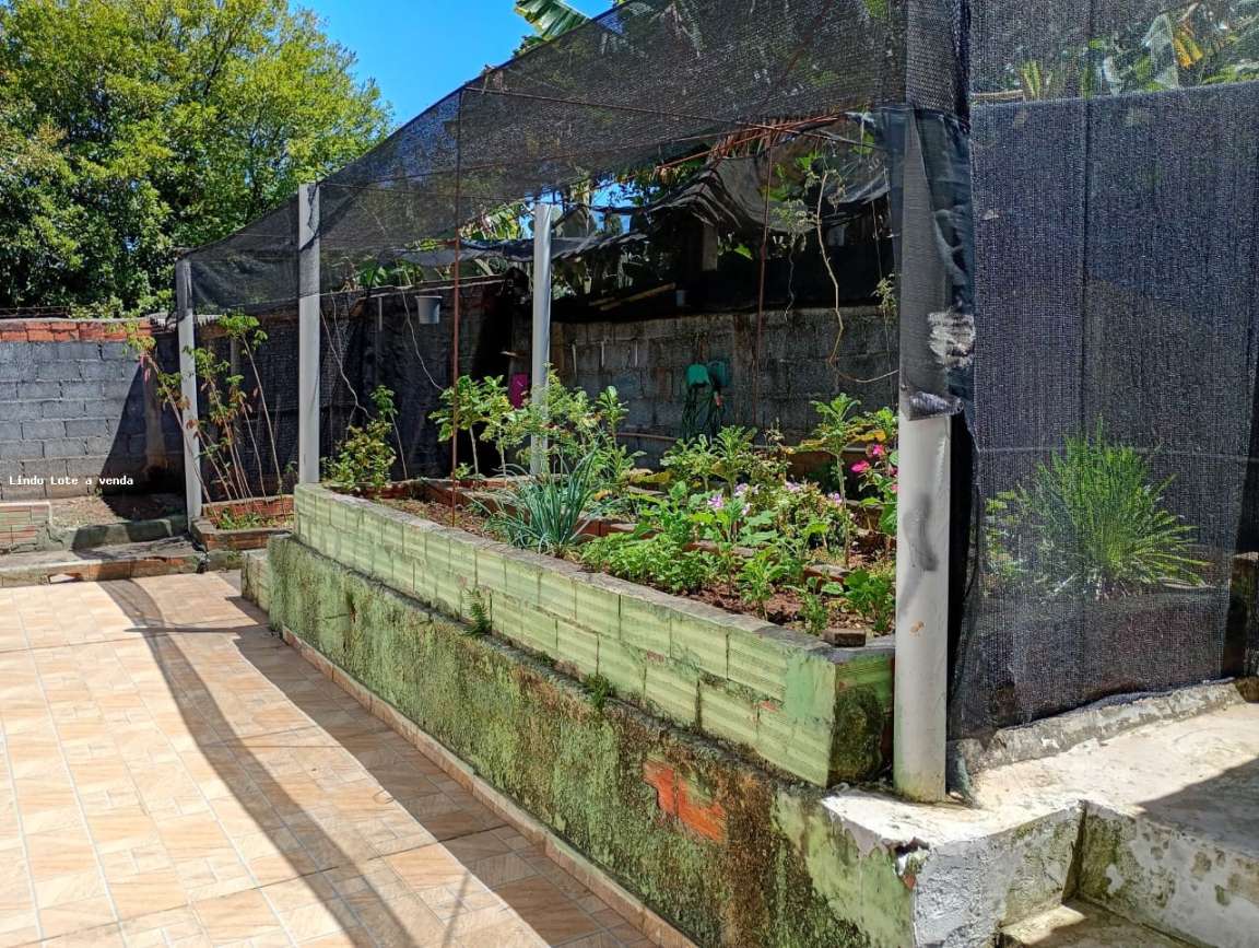 Chácara, 2 quartos, 1000 m² - Foto 20