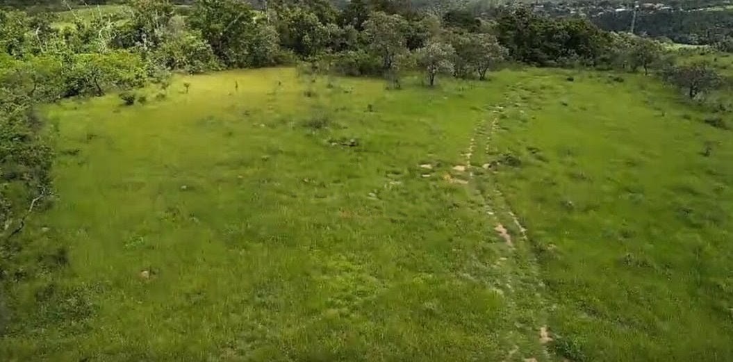 Terreno, 310 hectares - Foto 3