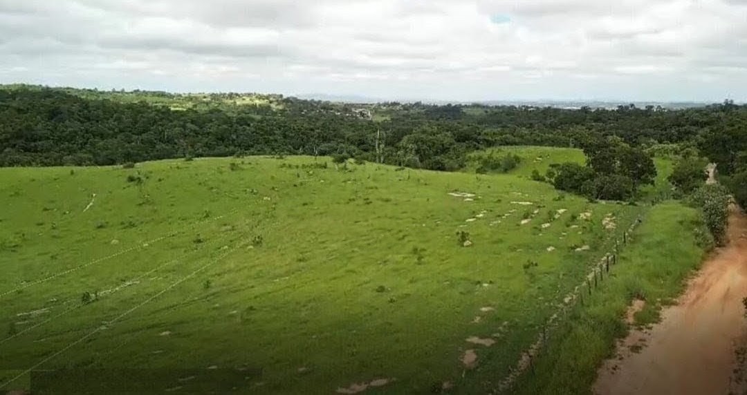 Terreno, 310 hectares - Foto 4