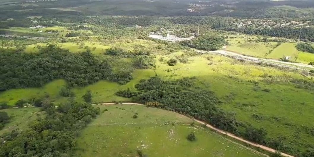 Terreno, 310 hectares - Foto 6