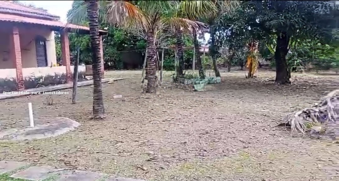 Fazenda, 4800 m² - Foto 3