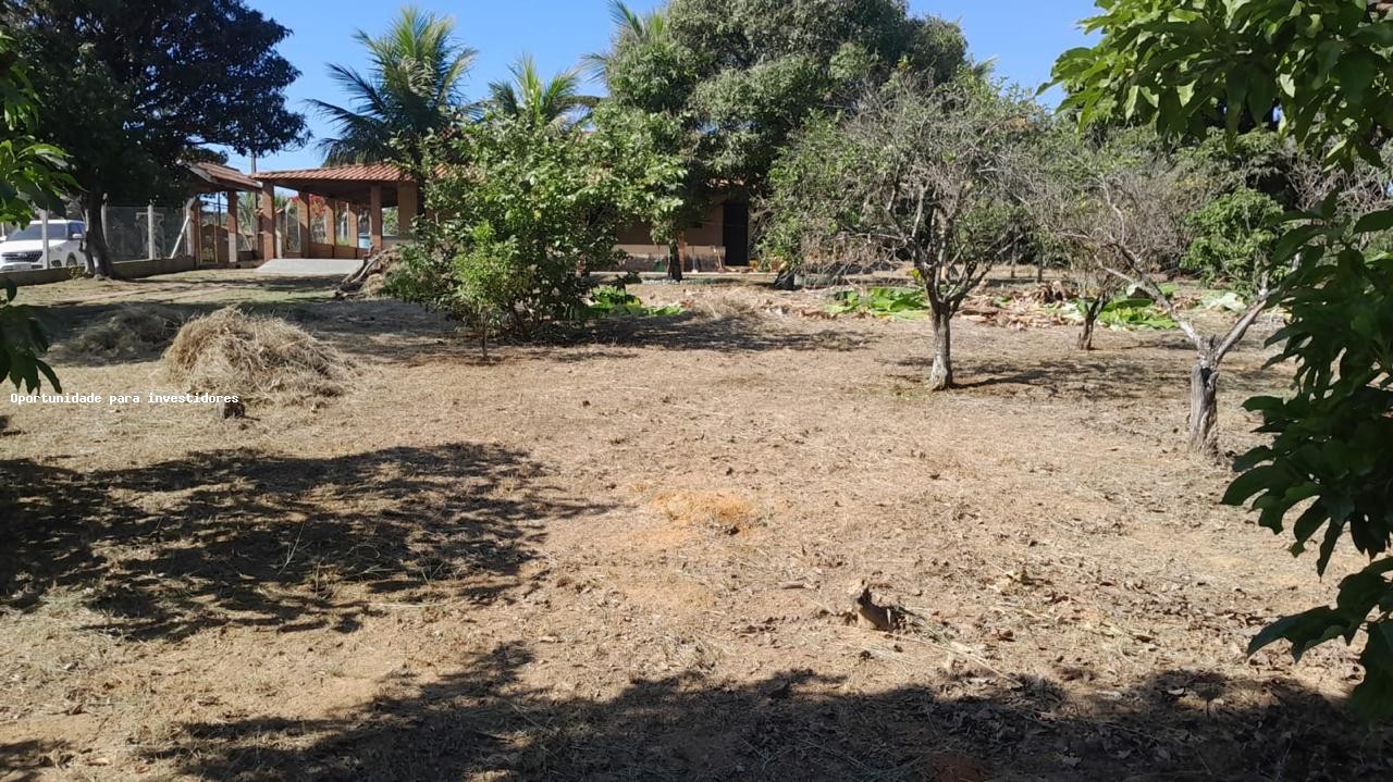 Fazenda, 4800 m² - Foto 6