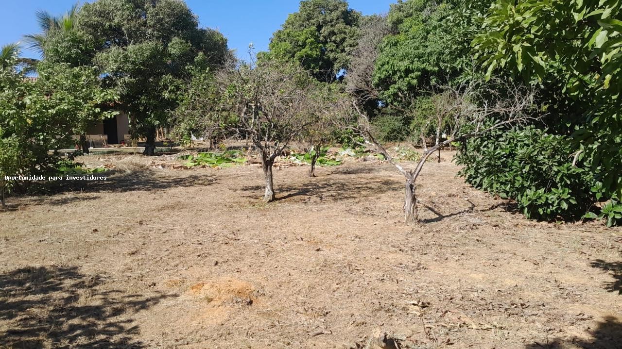 Fazenda, 4800 m² - Foto 14