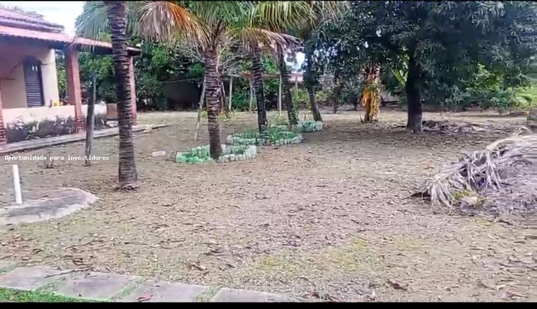 Fazenda, 4800 m² - Foto 15