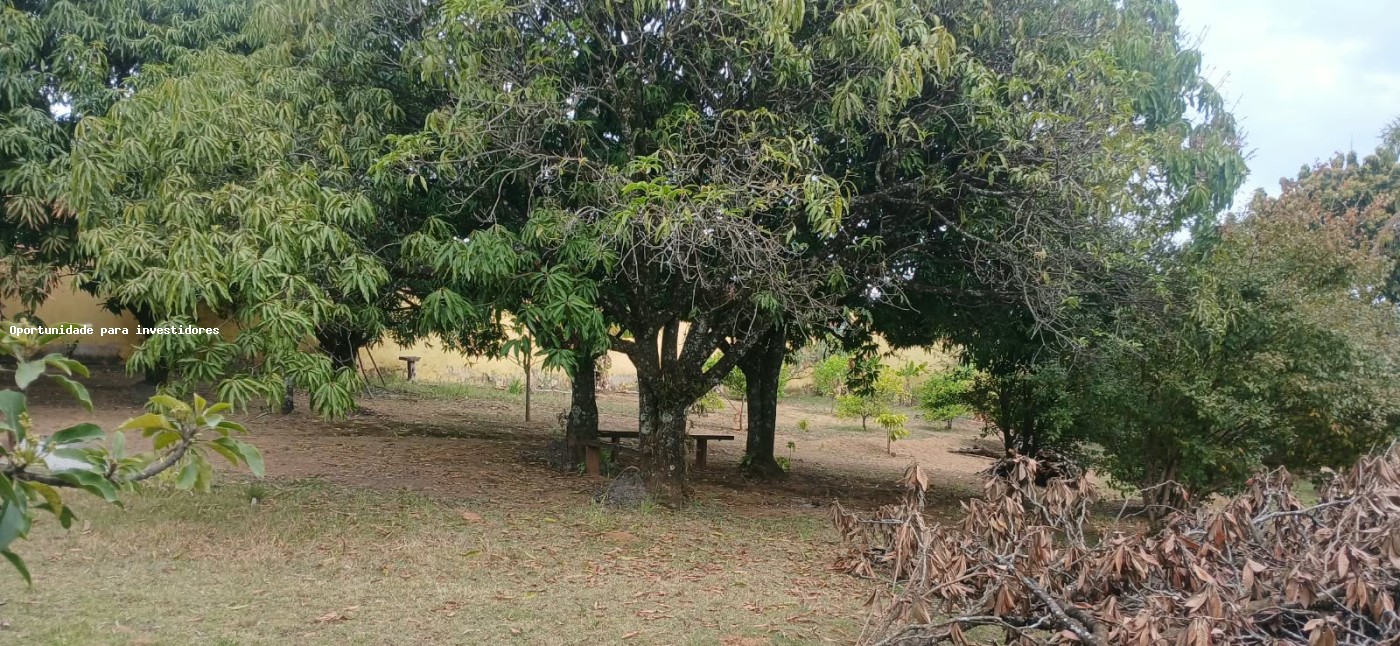 Terreno, 1180 m² - Foto 4